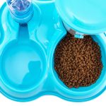 best automatic cat feeder