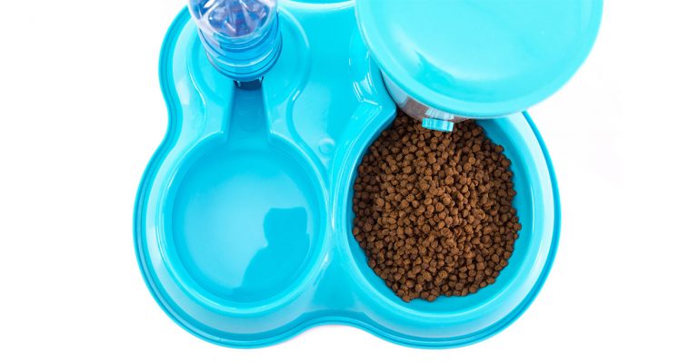 best automatic cat feeder
