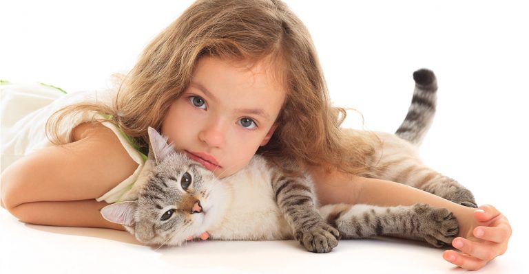 cat hugs
