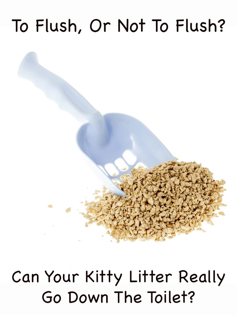 Flushable Cat Litter