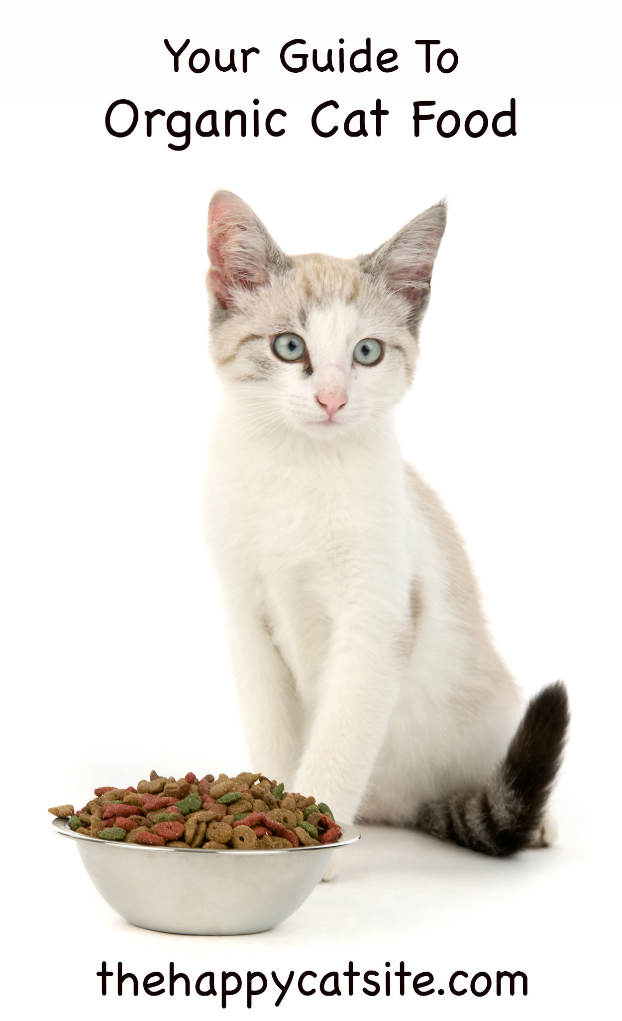 Organic Cat Food organic-cat-food