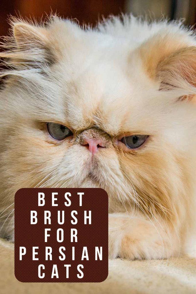 best free cat tool best free cat tool