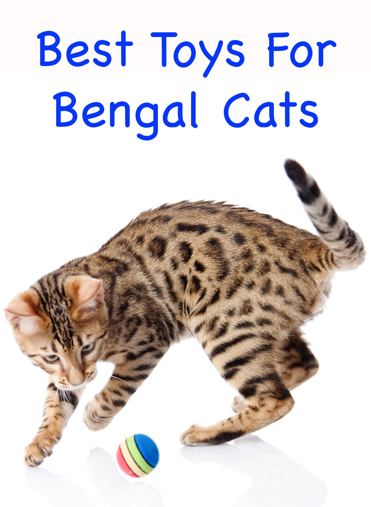 toys for bengals