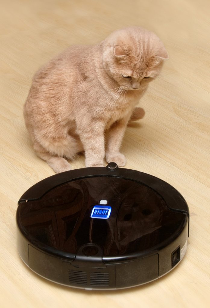 Best Vacuum For Cat Hair 15 Specialist Super Tools