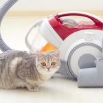 best vacuum for cat hair