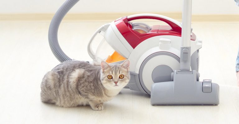 best vacuum for cat hair
