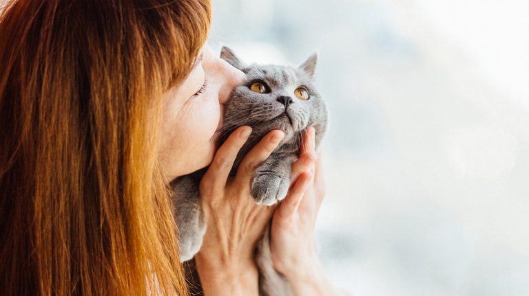 emotional support cat