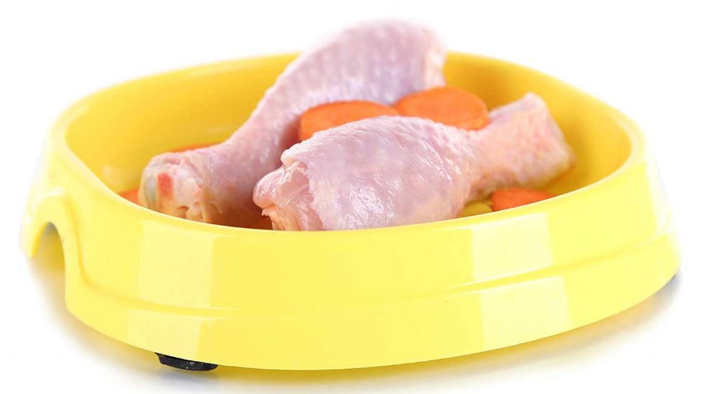 Can Cats Eat Raw Chicken? Is It Safe And Can It Do Them Good?