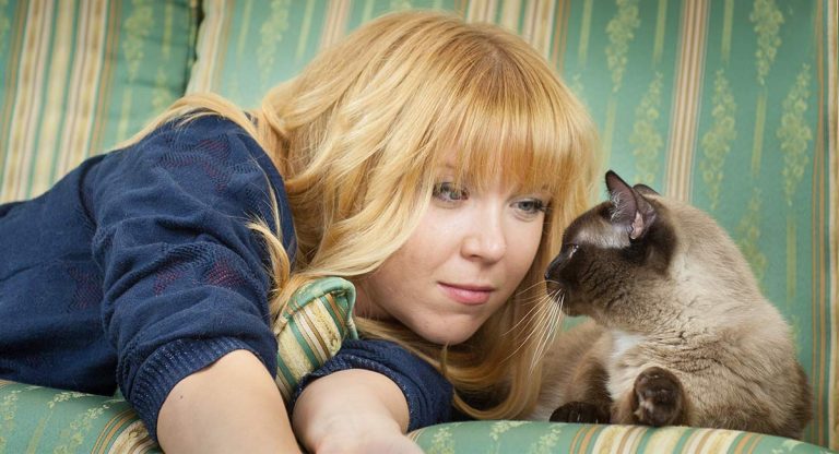 do cats recognize their owners