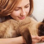 friendliest cat breeds