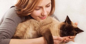 Friendliest Cat Breeds – The Best Pets For Happy Families