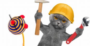DIY Cat Toys: Fun and Simple Homemade Ideas