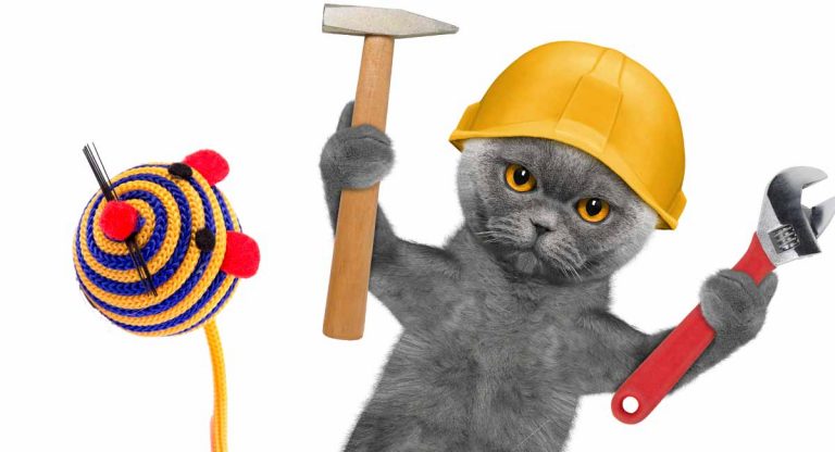 diy cat toys