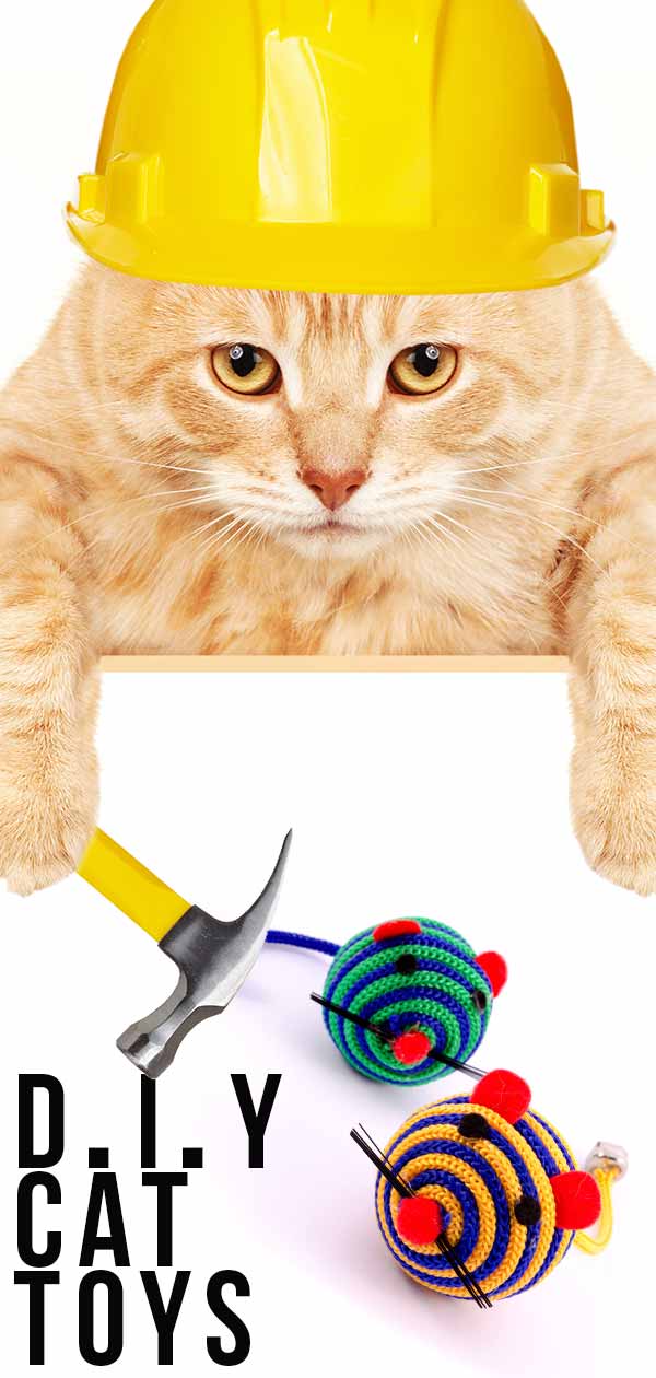 DIY Cat Toys: Fun and Simple Ideas To Make At Home