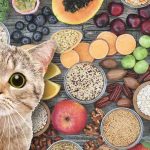 high fiber cat food