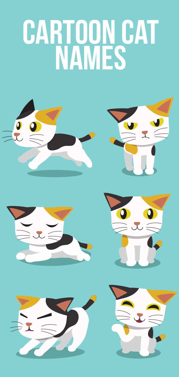 Japanese Anime Cat Names - 81021+ Nama Untuk Kucing Comel, Lucu dan Unik