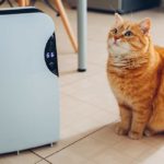 best air purifier for pets