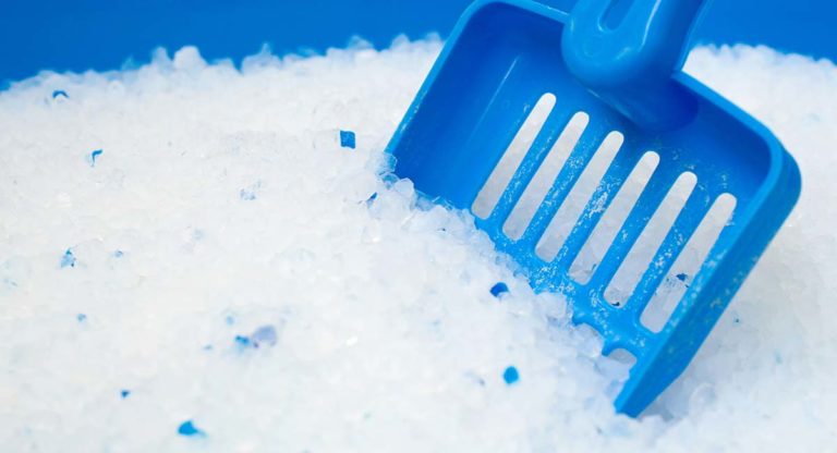 crystal cat litter