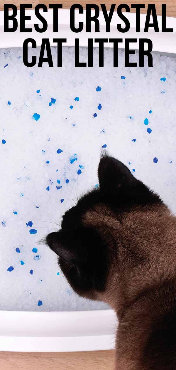 crystal cat litter