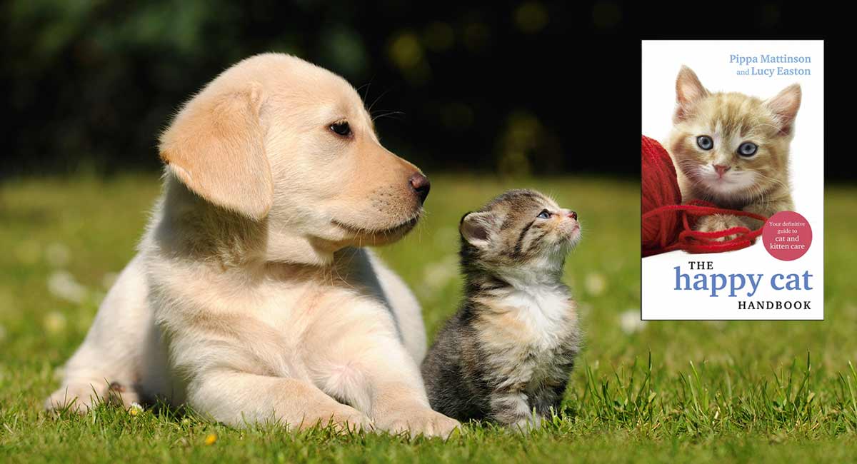 cat handbook