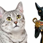 egyptian cat names