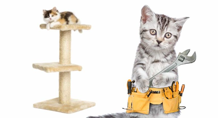 DIY Cat Tree
