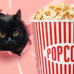 can cats eat popcorn