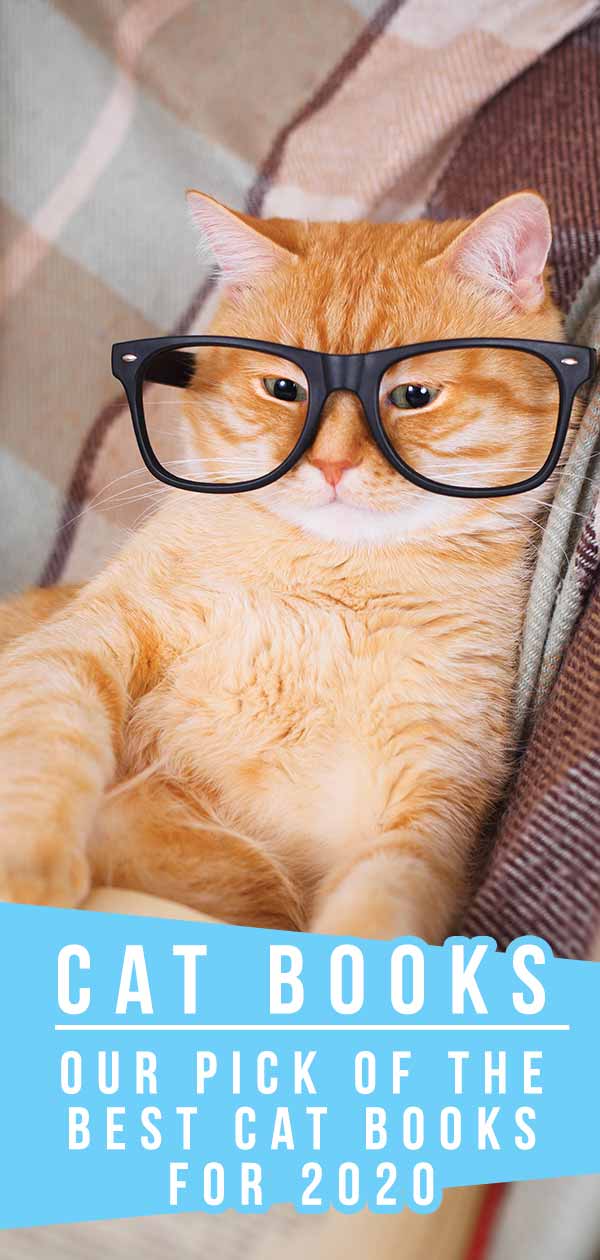 Cat Books The Best Cat Books To Read And Gift In 2020