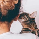 cat love quotes