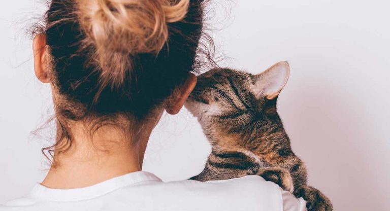 cat love quotes