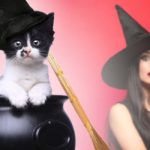 witch cat names