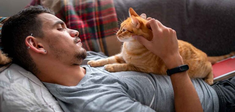 Why Are Orange Tabby Cats So Affectionate And Is It A Dead Cert 