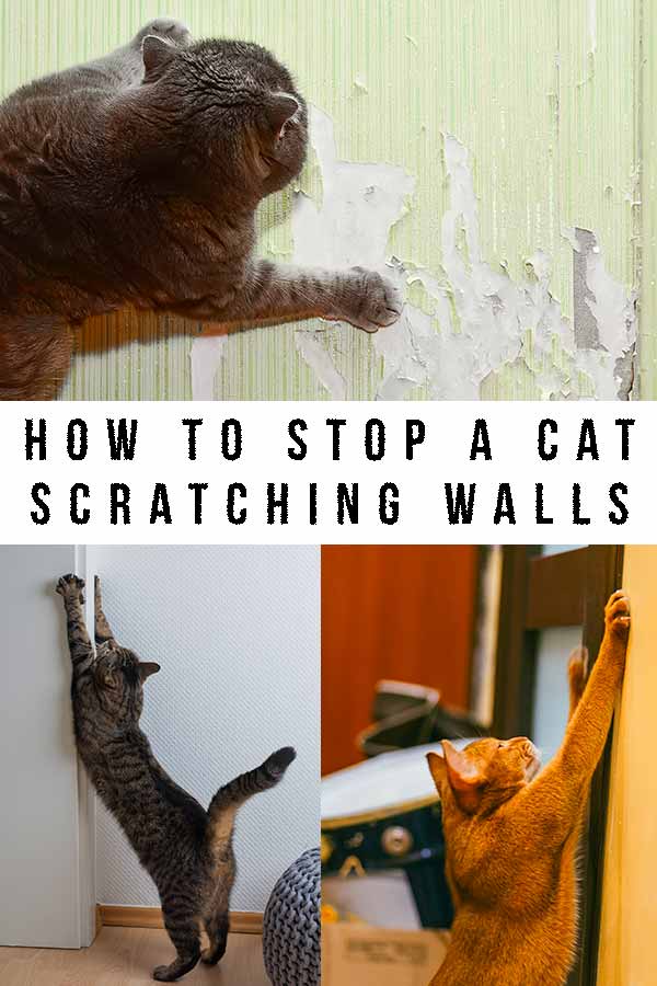 how to stop a cat scratching walls