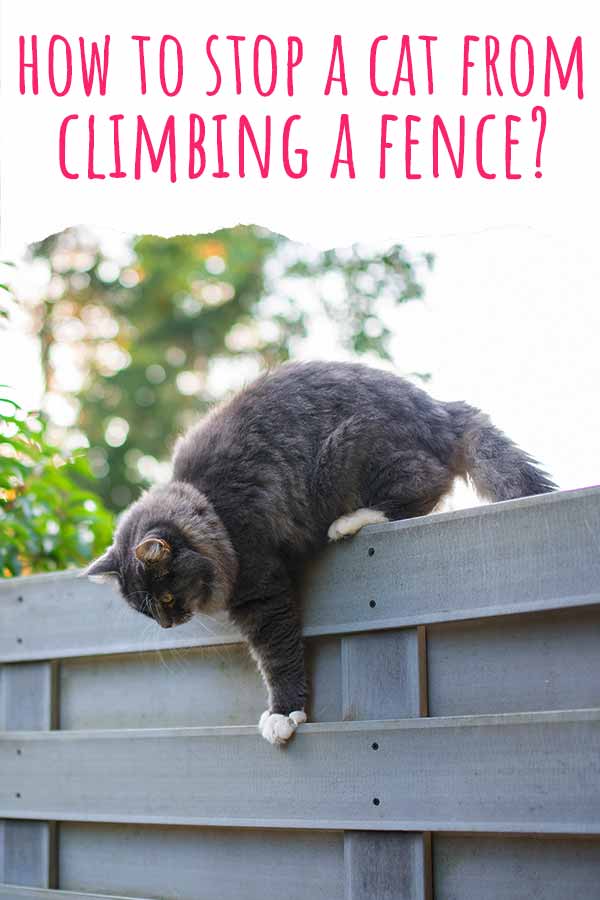 how to stop a cat from climbing a fence
