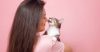what does it mean when a cat licks your nose