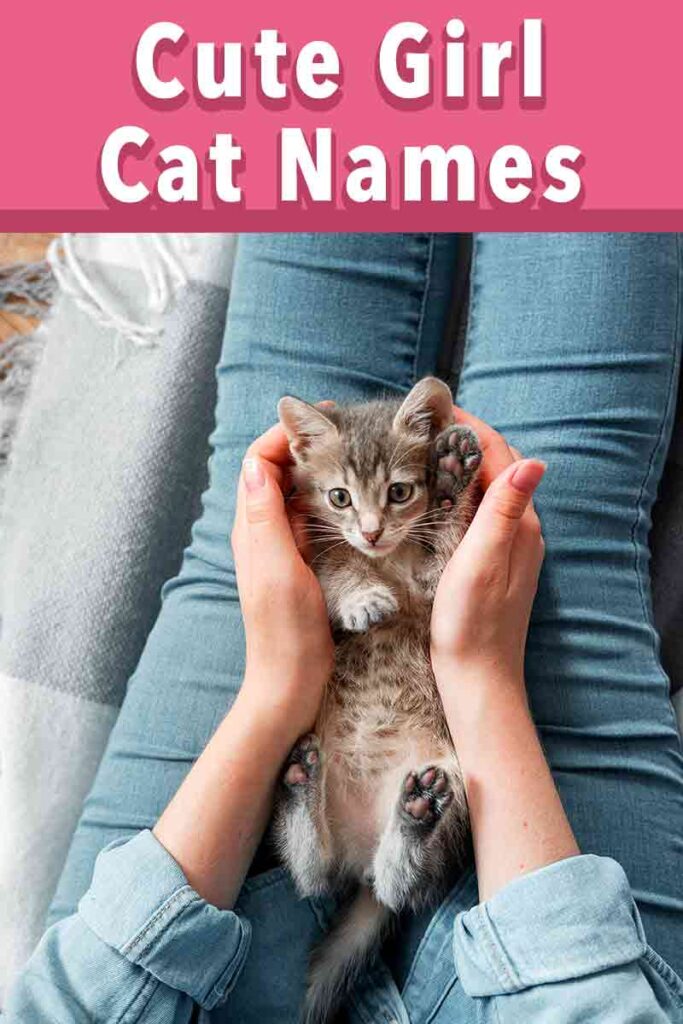 cute girl cat names