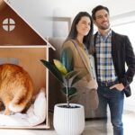 What to do with cat during house showings