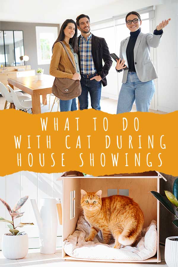 What to do with cat during house showings