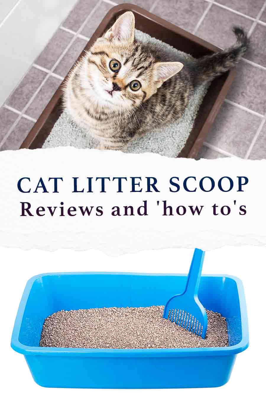 Cat Litter Scoop Reviews Of The Best Cat Litter Scoops Available