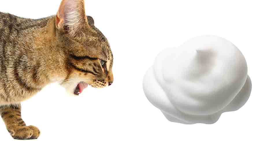 Cat Throwing Up White Foam HC long