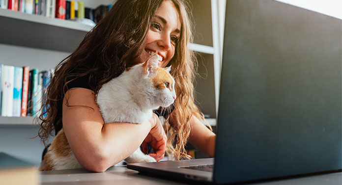 what-does-a-cat-sitter-do-cat-sitter-responsibilities-explained