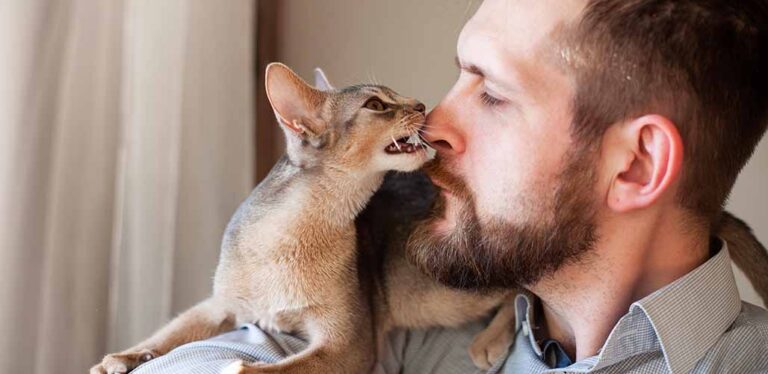 why does my cat bite my nose