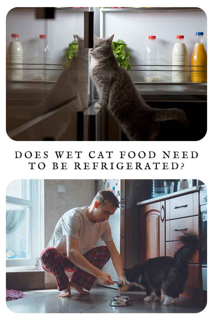 does wet cat food need to be refrigerated
