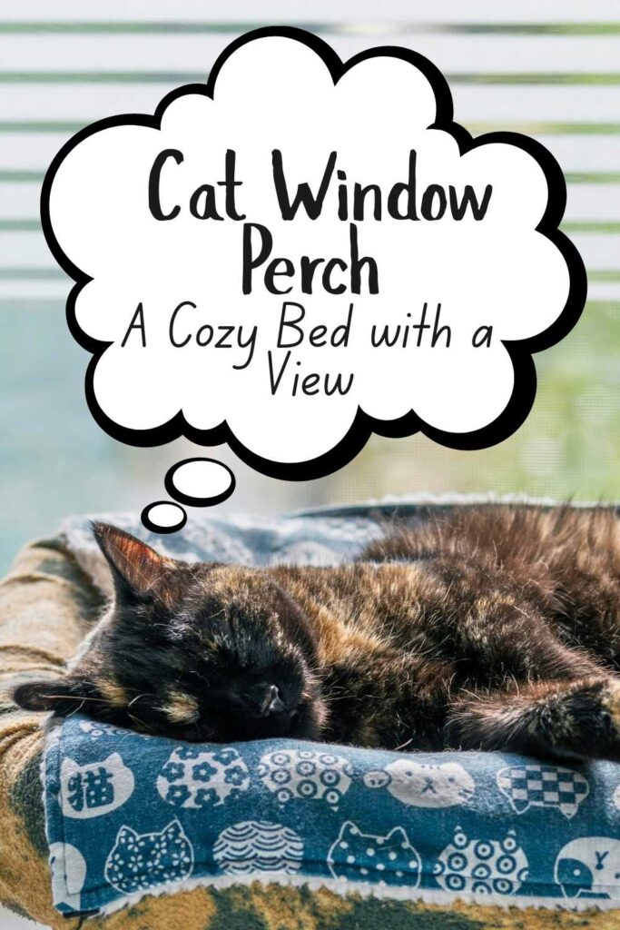 photo of a cat sleeping on a window perch with a thought bubble