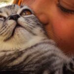 do cats like being kissed