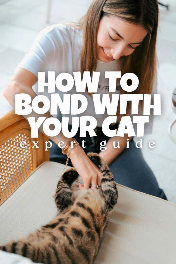 photo of a woman stroking a tabby cat