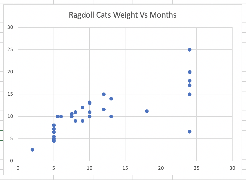 Ragdoll Cat Size Chart