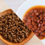 can you mix wet and dry cat food