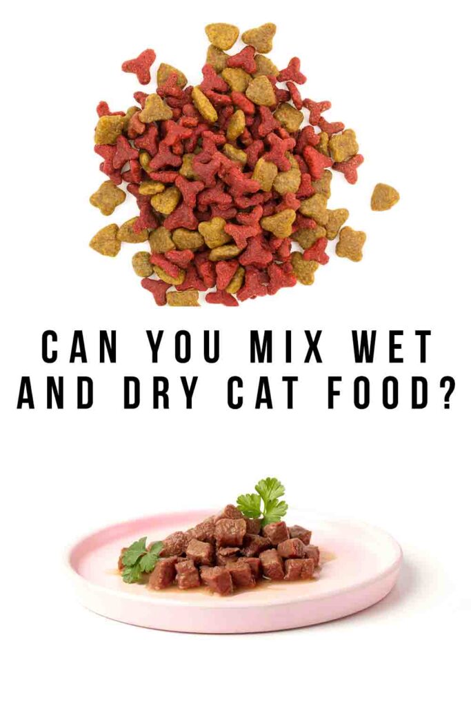 can you mix wet and dry cat food