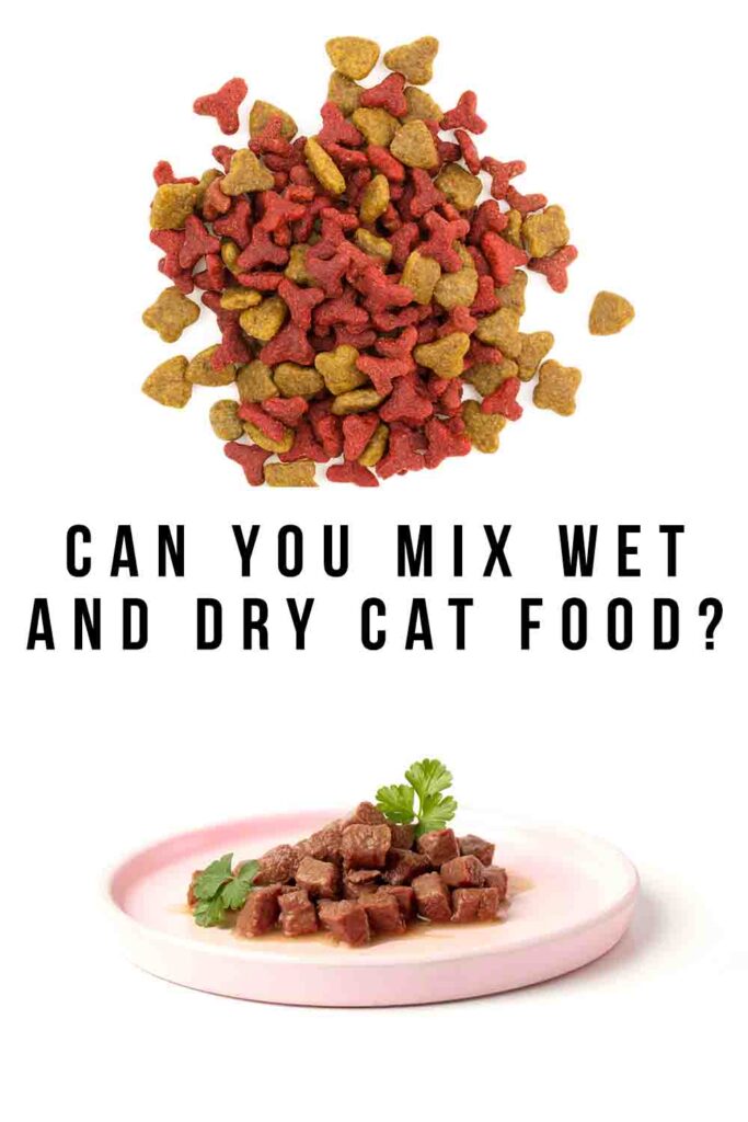 Can You Mix Wet And Dry Cat Food 